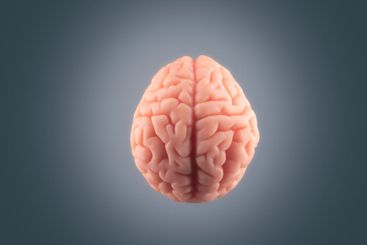 human brain floating grey background