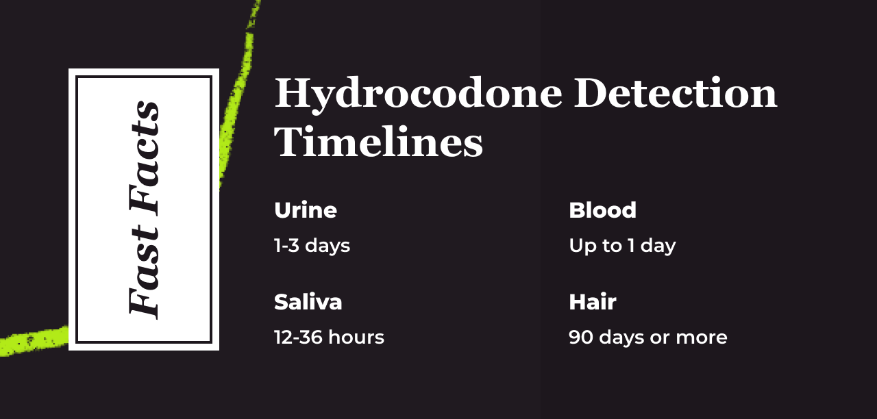 hydrocodone detection timelines